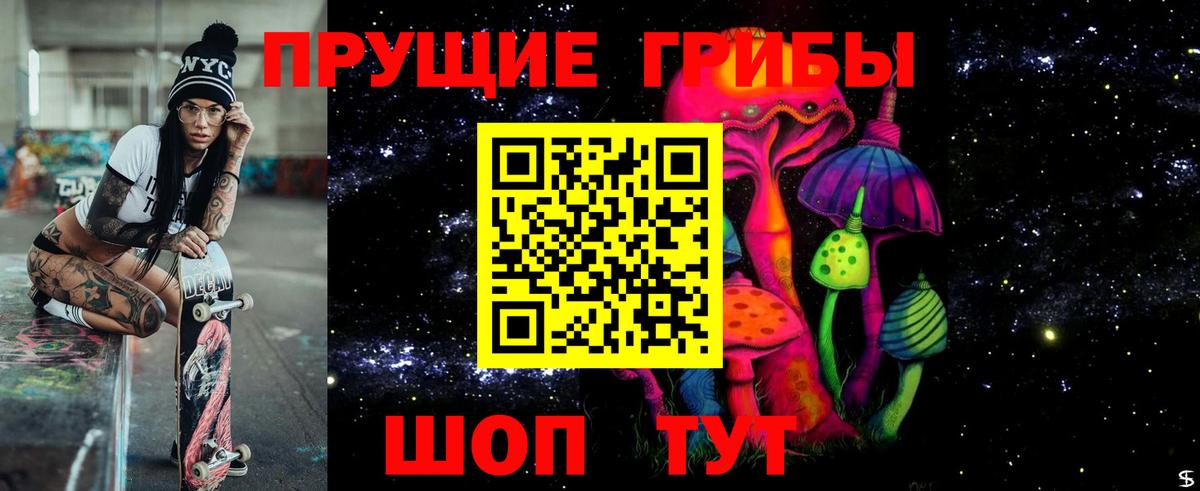 Псилоцибиновые грибы GOLDEN TEACHER Новошахтинск